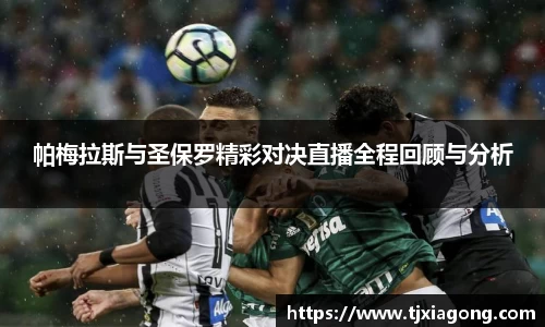 完美体育365官方网站